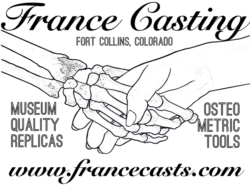 France Casting logo