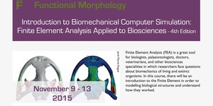 Functional morphology