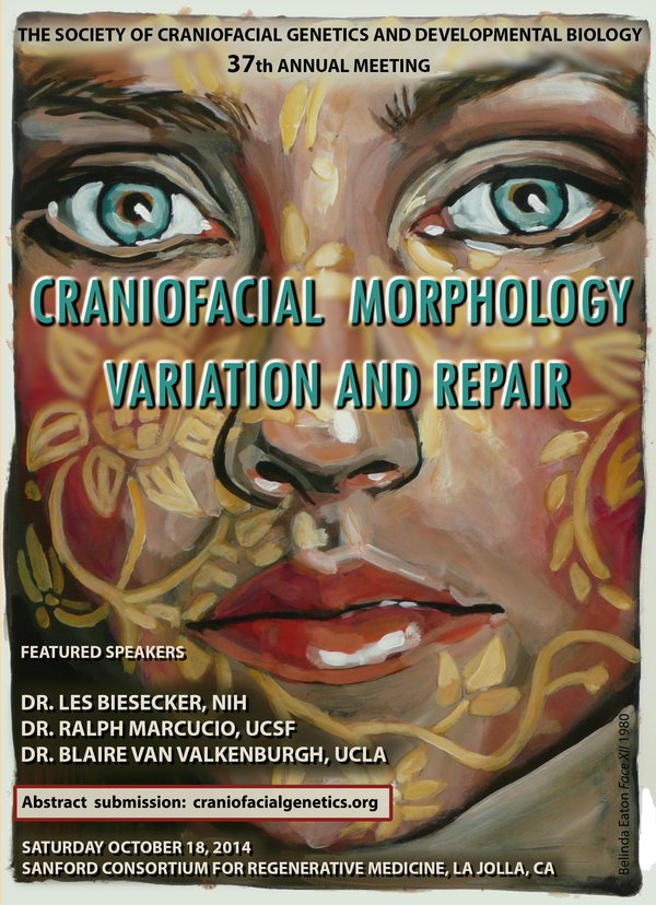 Craniofacial poster 2014