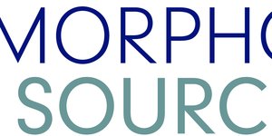 morpho source logo