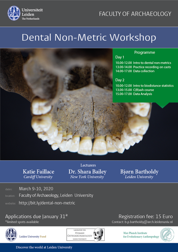 dental workshop